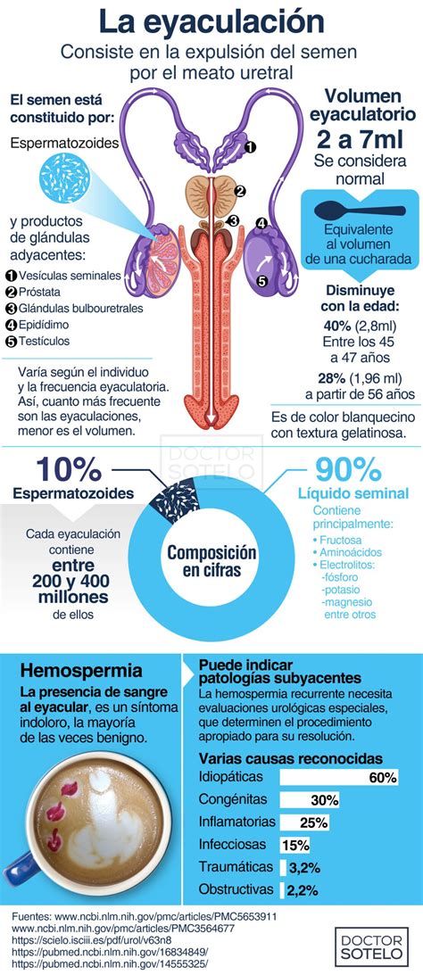 eyaculaciones internas|Eyaculación .